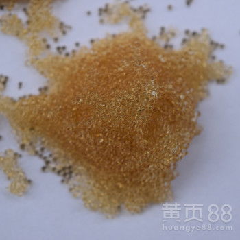 争光zger8420去离子抛光树脂实验室超纯水处理混床离子交换树脂
